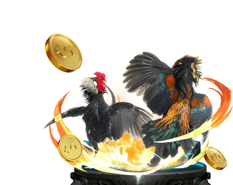 Nền tảng cá cược an toàn và minh bạch