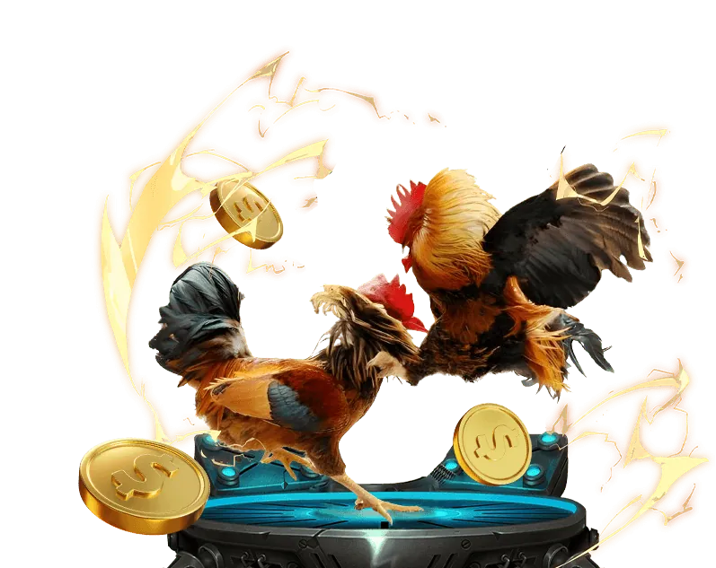 Bảo mật thông tin người dùng